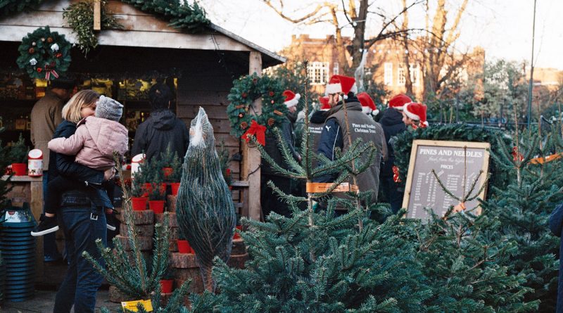 Christmas trees at Pines and Needles pop-up in Victoria Park.