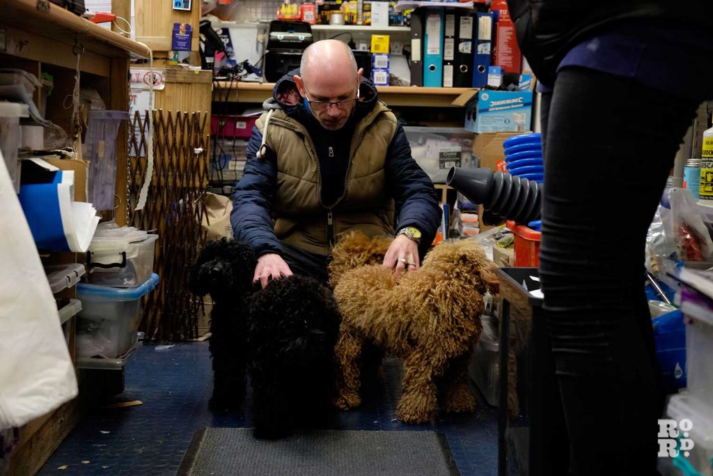 Employee Jason with the shop Labradoodle dogs at Thompsons DIY hardware store, Roman Road, Bow, East London.