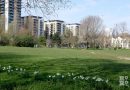 Haverfield Green, Mile End Park, London