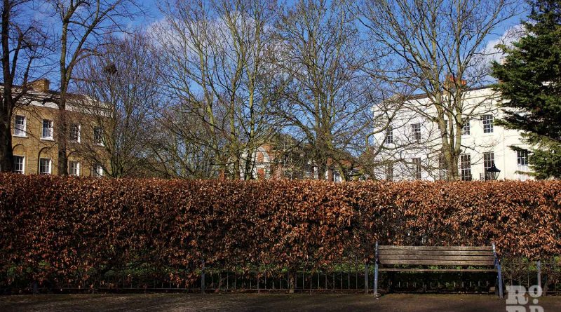 Bench and beech hedge, Tredegar Square, Mile End, East London