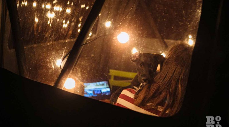 Cuddling the dog - a window into canal boats on Regent's Canal, by photographer Rose Palmer