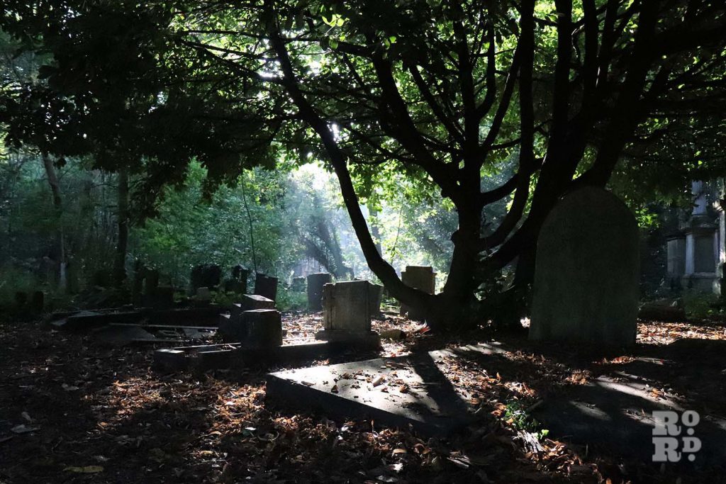 Small shaft of sun beaming onto a grave, in Tower Hamlets Cemetery Park, East London