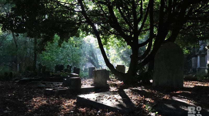Small shaft of sun beaming onto a grave, in Tower Hamlets Cemetery Park, East London
