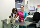 Nancy McLaughlin, veterinary assistant at PDSA, Bow, East London.