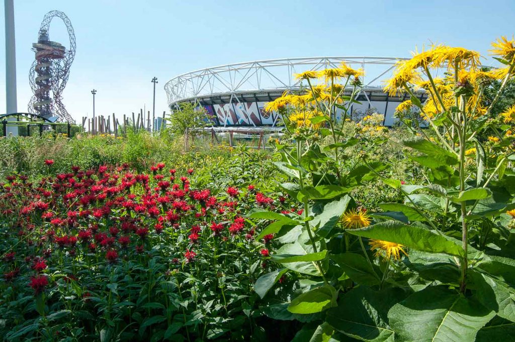 The olympic stadium surrounded by flowers, grass and shrubs.