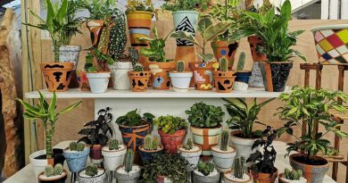 Best places to buy indoor and garden plants near Roman Road