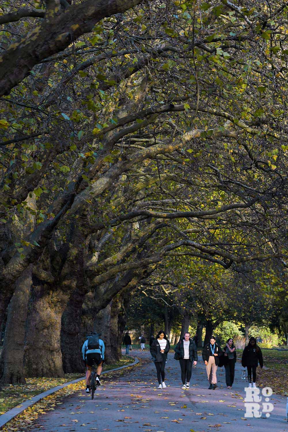 People walking in Victoria Park in autumn, East London, 2022.