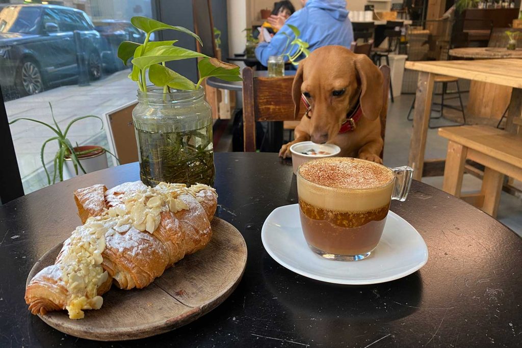 Sausage dog drinking a puppachino with a coffee and almond croissant in the foreground at Barkney Wick, Hackney WIck, East London