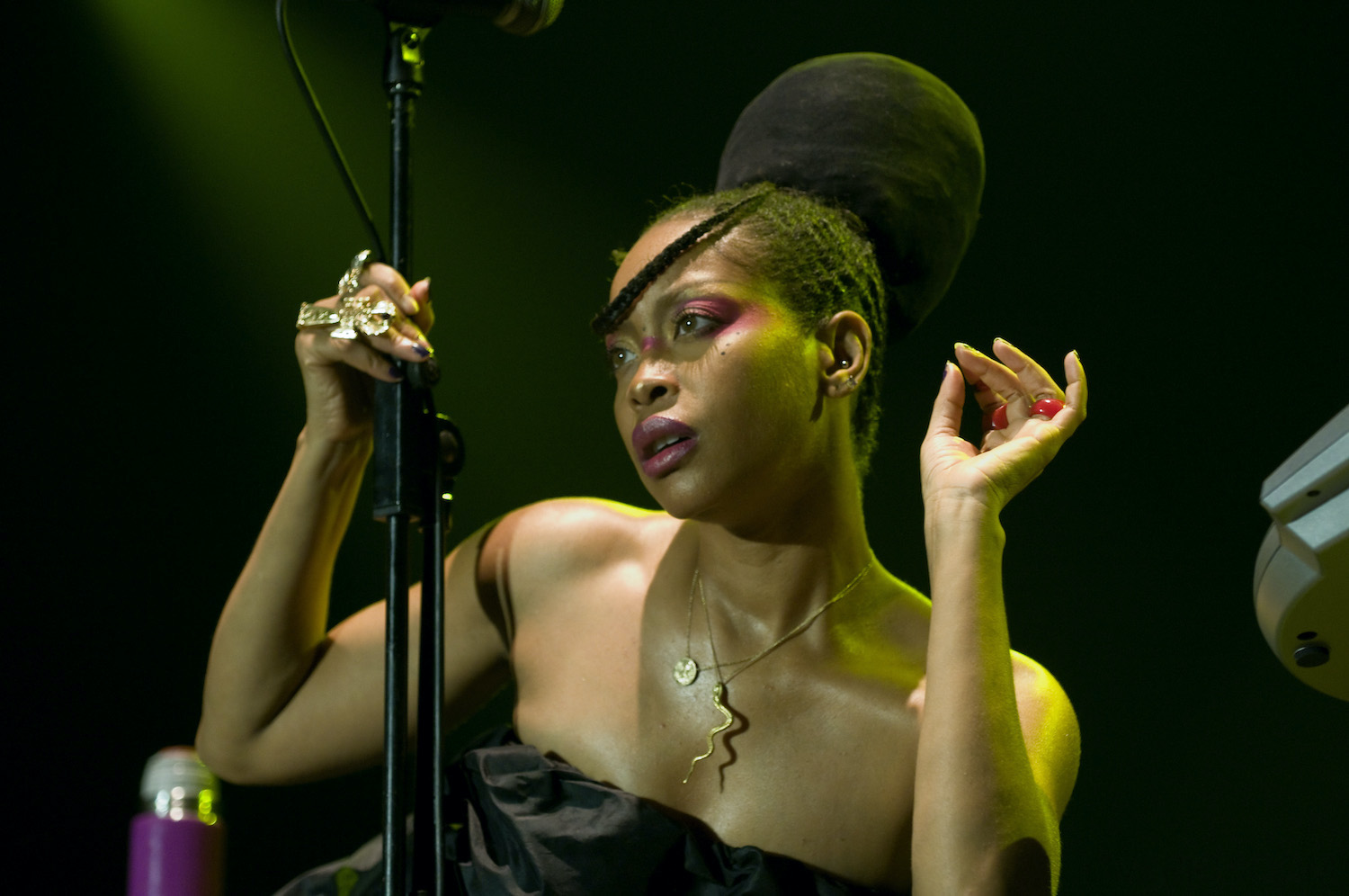 Singer Erykah Badu performing 