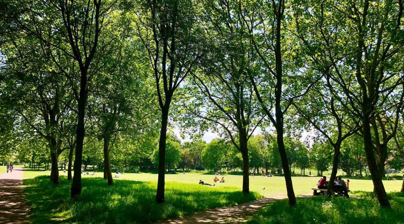 Green space in Mile End park, one of East London's best parks