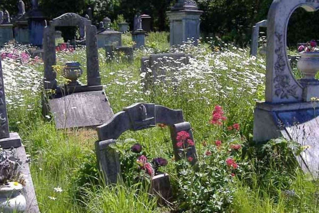 Flowers among the graves in Tower Hamlets Cemetery Park, East London