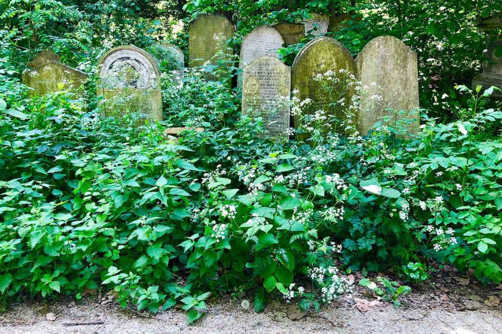 Green space made by Graves among leaves in Tower Hamlets Cemetery, one of East London's most unexpected best parks.