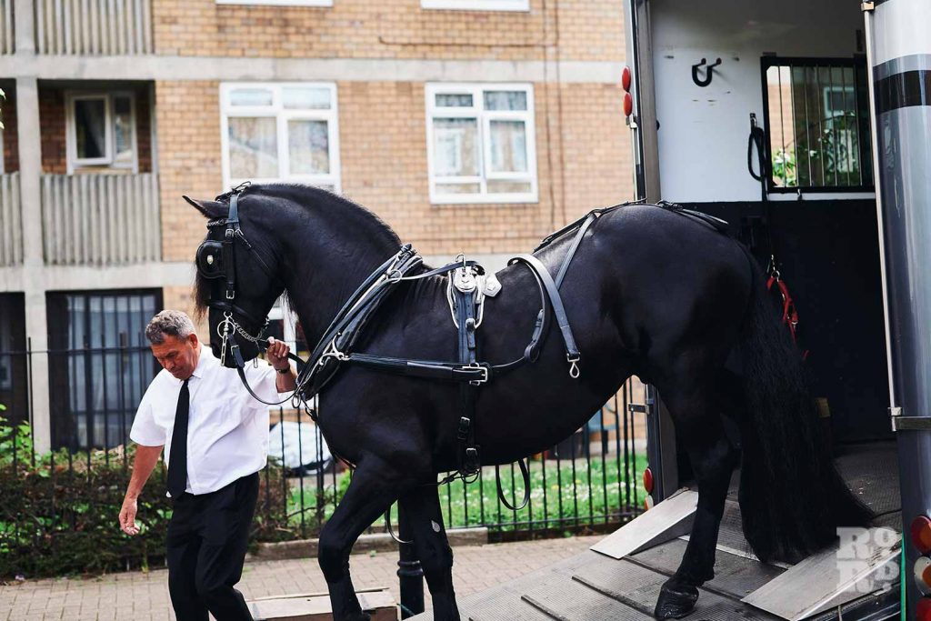 Black Friesan horse being led out of a truck to lead a horse-drawn funeral in the East End.