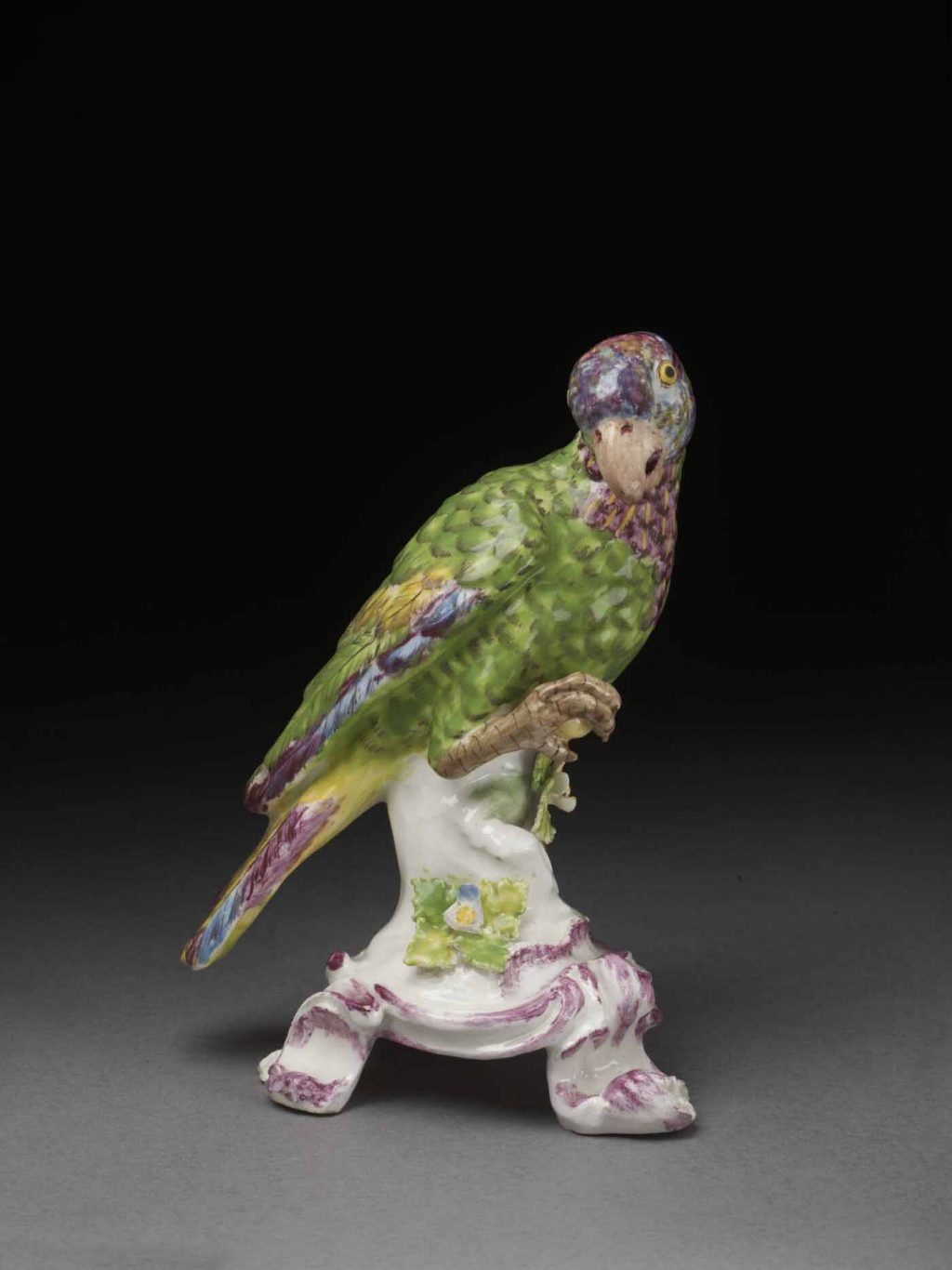 South American parrot 1758-62 © Victoria and Albert Museum, London