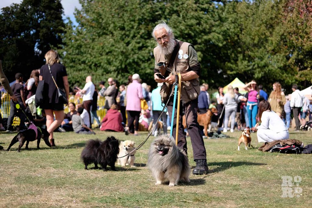 Pomeranians at Victoria Park Dog Show, East London