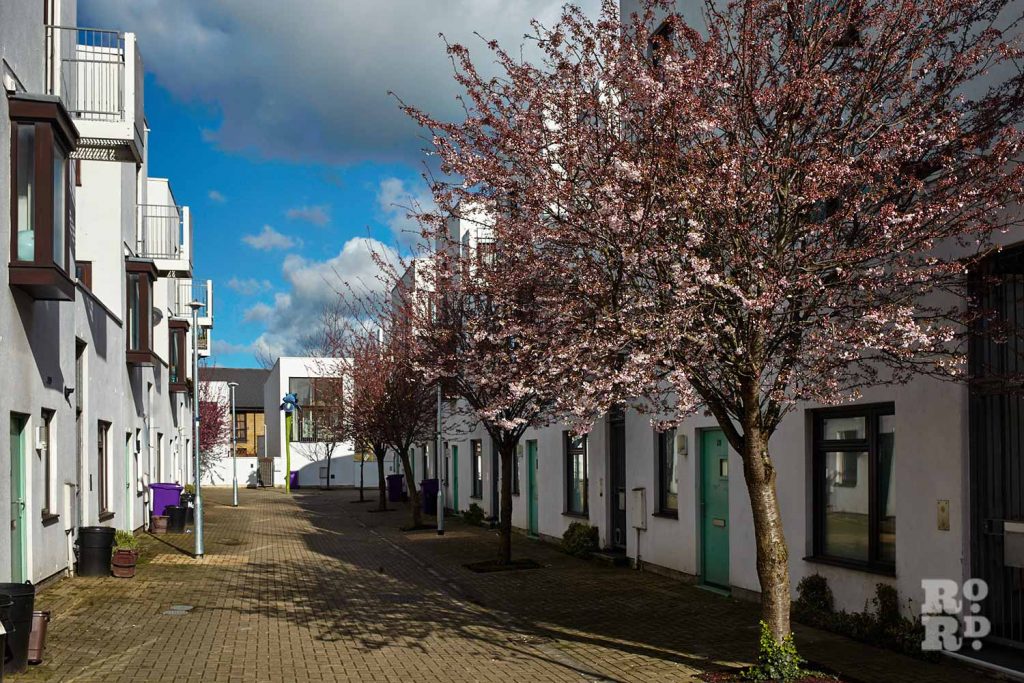 White flats with blossom trees in Donnybrook Quarter, Tower Hamlets, East London