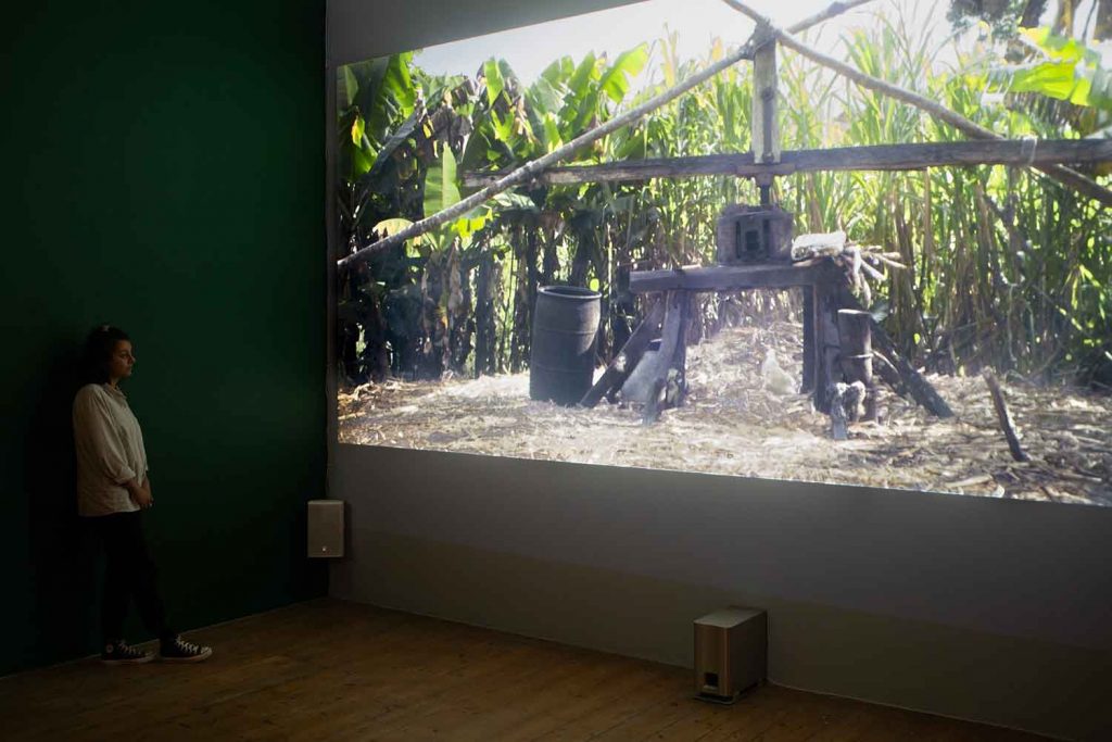 Kat Anderson's Mark of Cane exhibition at the Nunnery Gallery, film still from 'Las, Fiya'