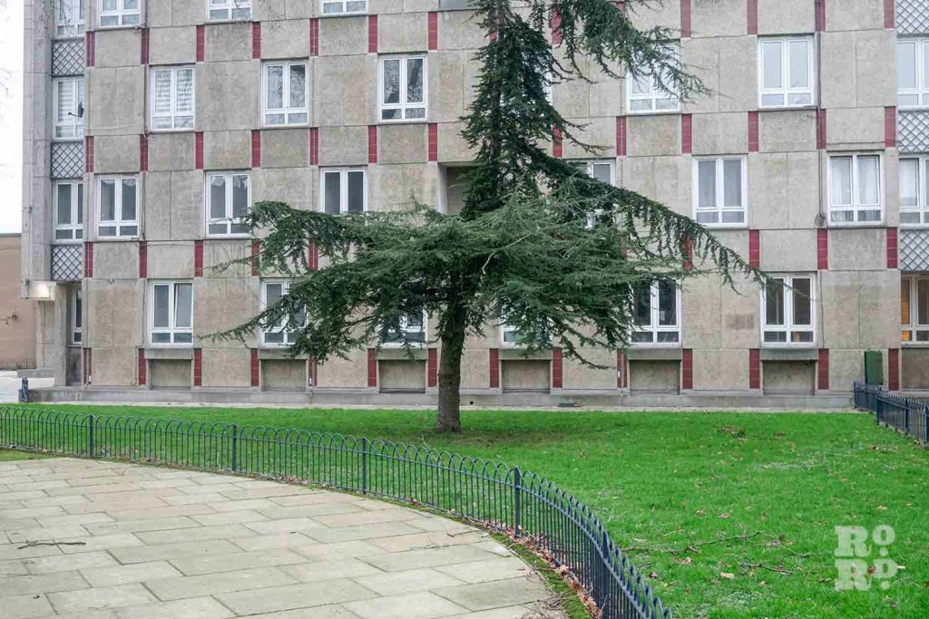Tree outside Lakeview Council Estate, Victoria Park, Bow