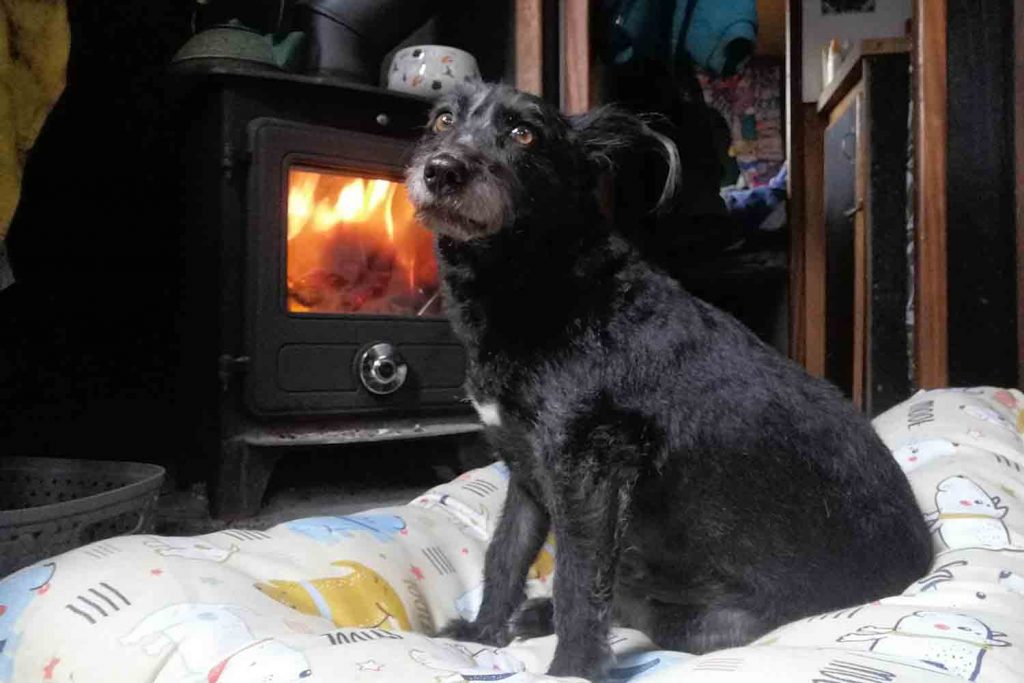 Marnie the boat dog by the fire, East London