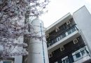 Pretty May cherry blossom in front of Sulkin House, Greenways council estateestate, Globe Town, East London.